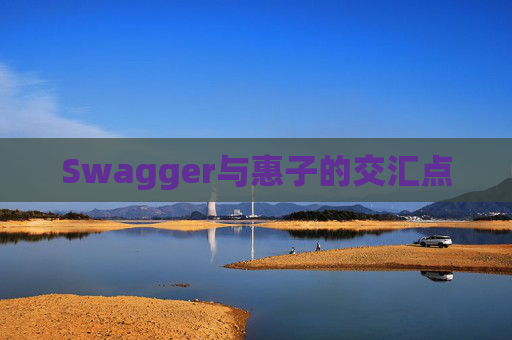 Swagger与惠子的交汇点