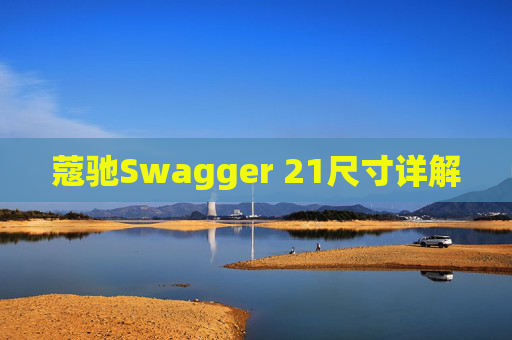 蔻驰Swagger 21尺寸详解